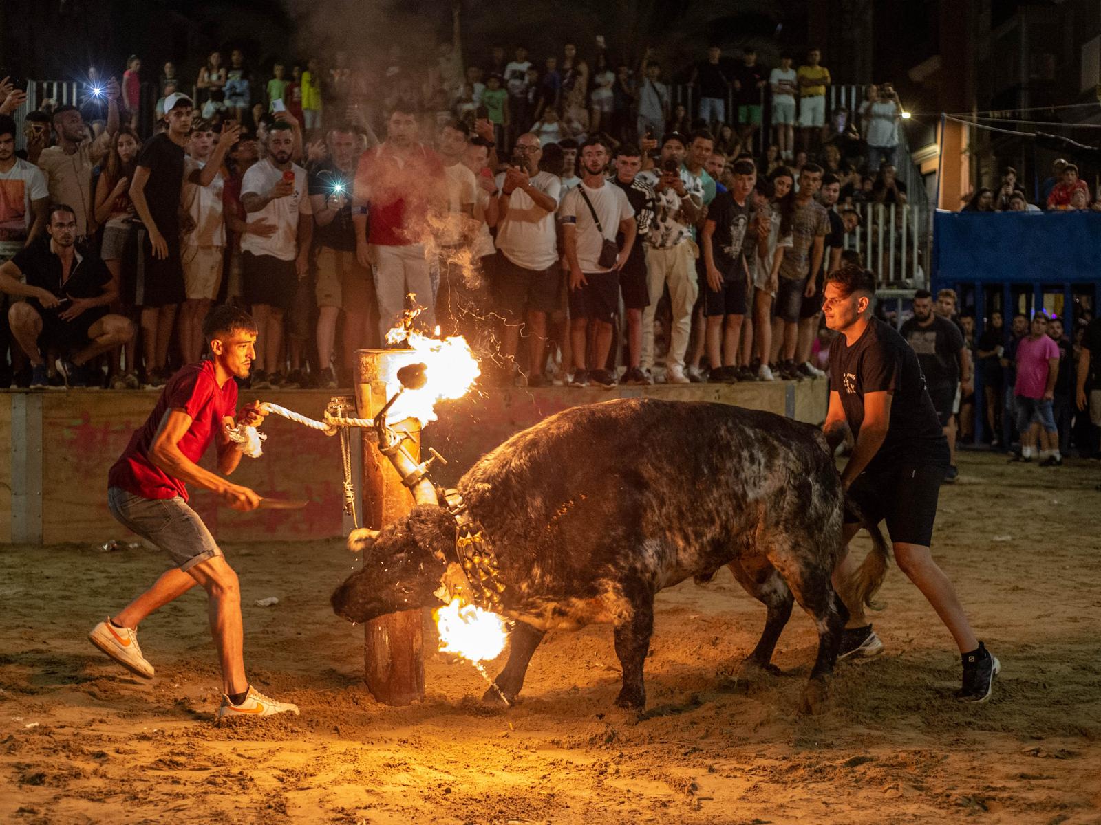 Acte nocturn de bous al carrer